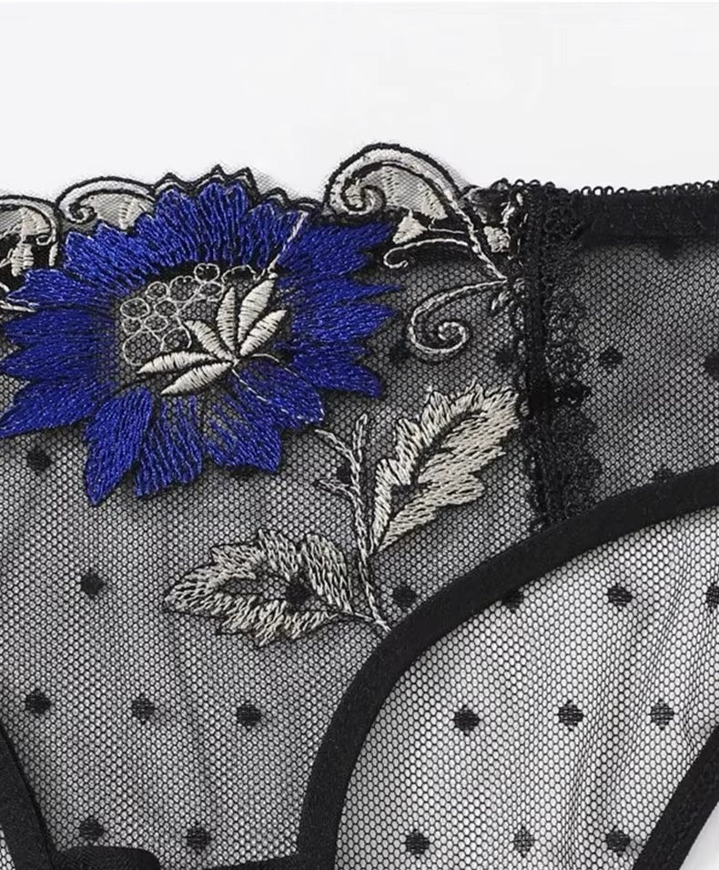 Plus Size Embroidered Lace Transparent Lingeries