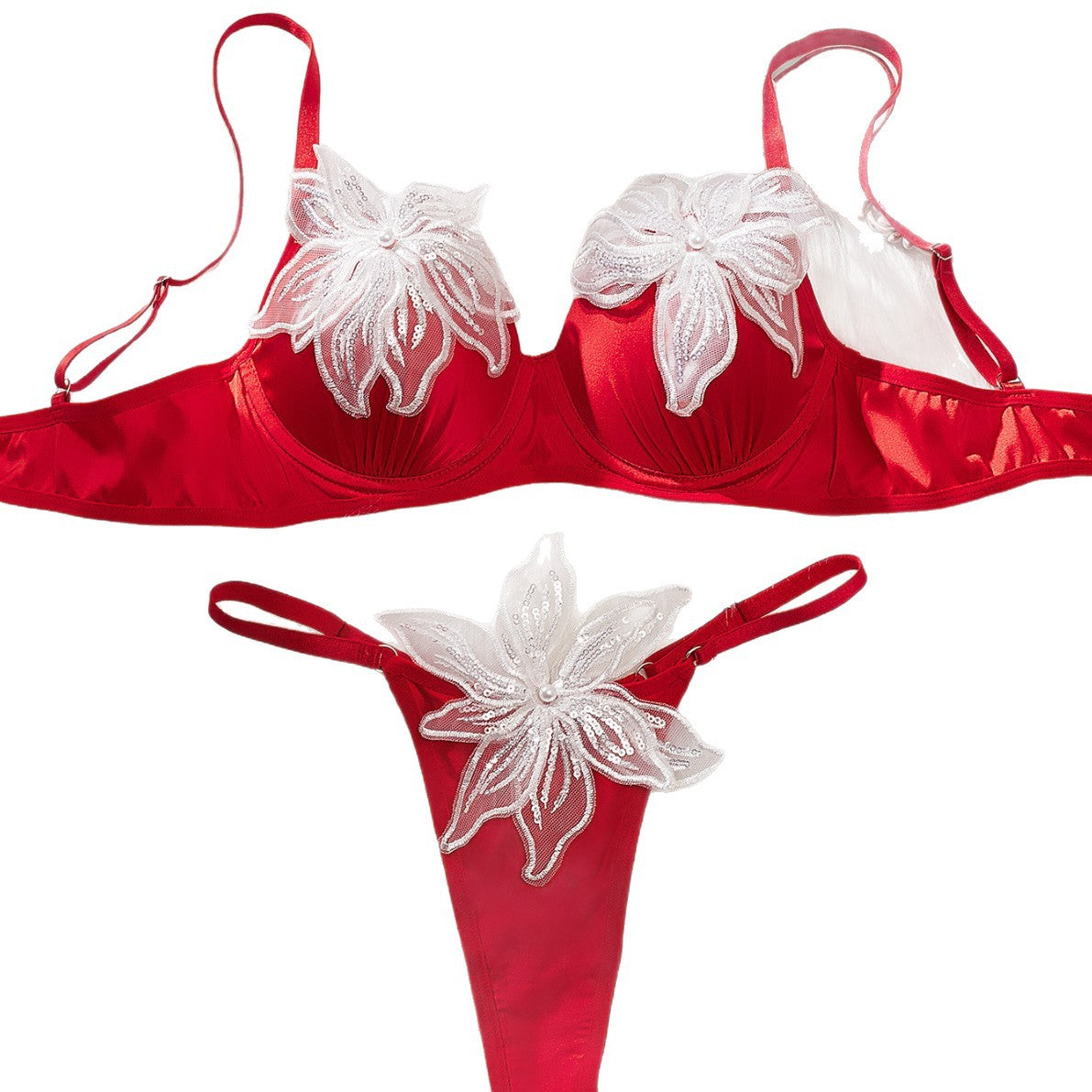 Sexy Mesh Panel Lace Bra Set with Sweet Floral Embroidery