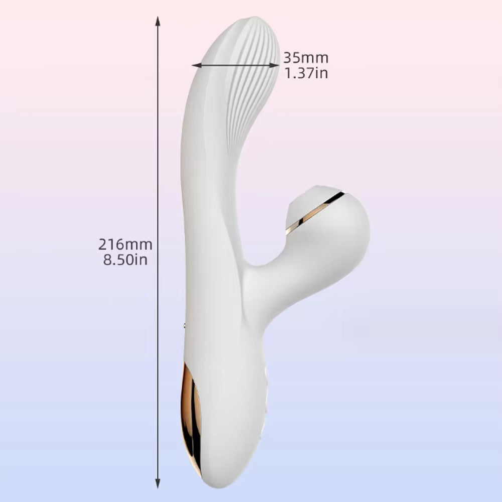 2 in 1 Vaginal and Clitoral Stimulation